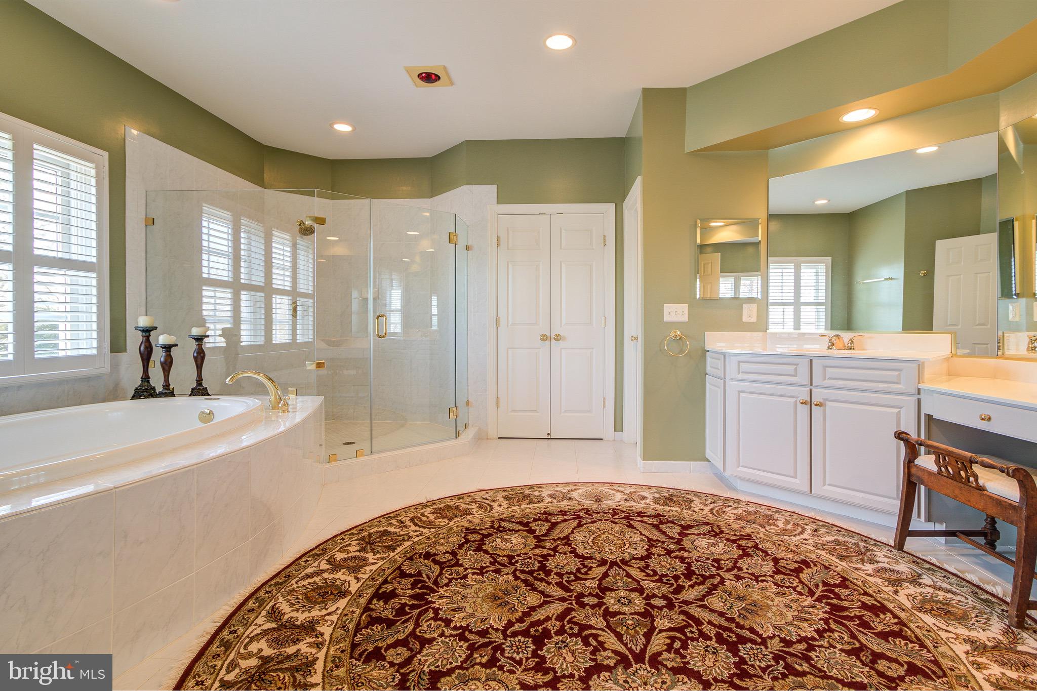 8326 Roxborough Loop Gainesville, VA 20155 - Photo 38 of 70 Master Bathroom