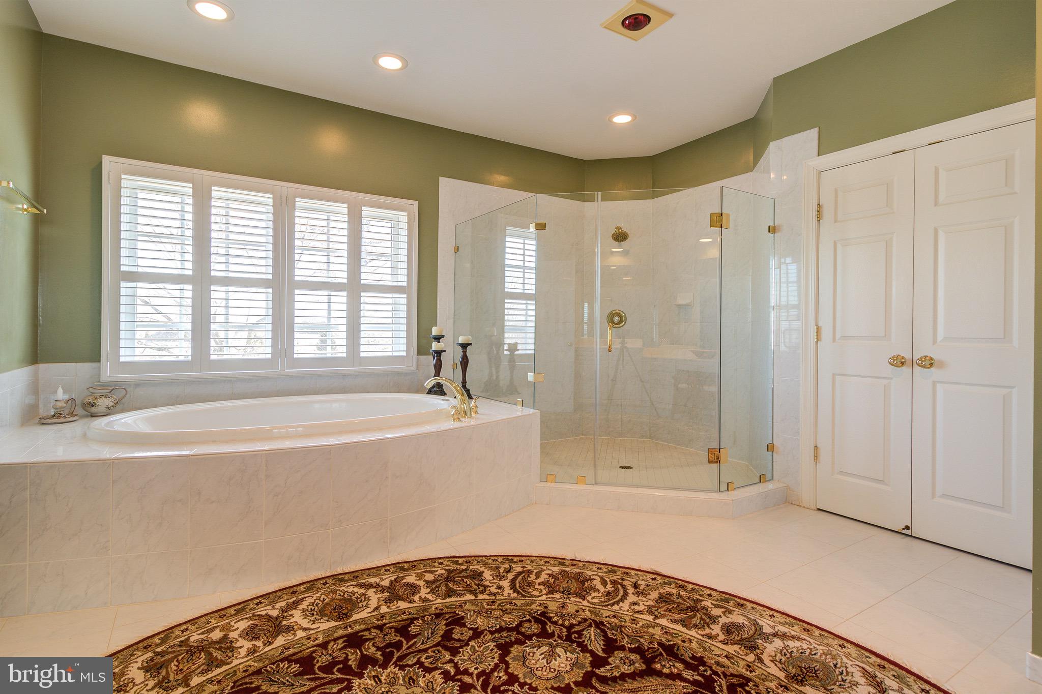 8326 Roxborough Loop Gainesville, VA 20155 - Photo 39 of 70 Master Bathroom
