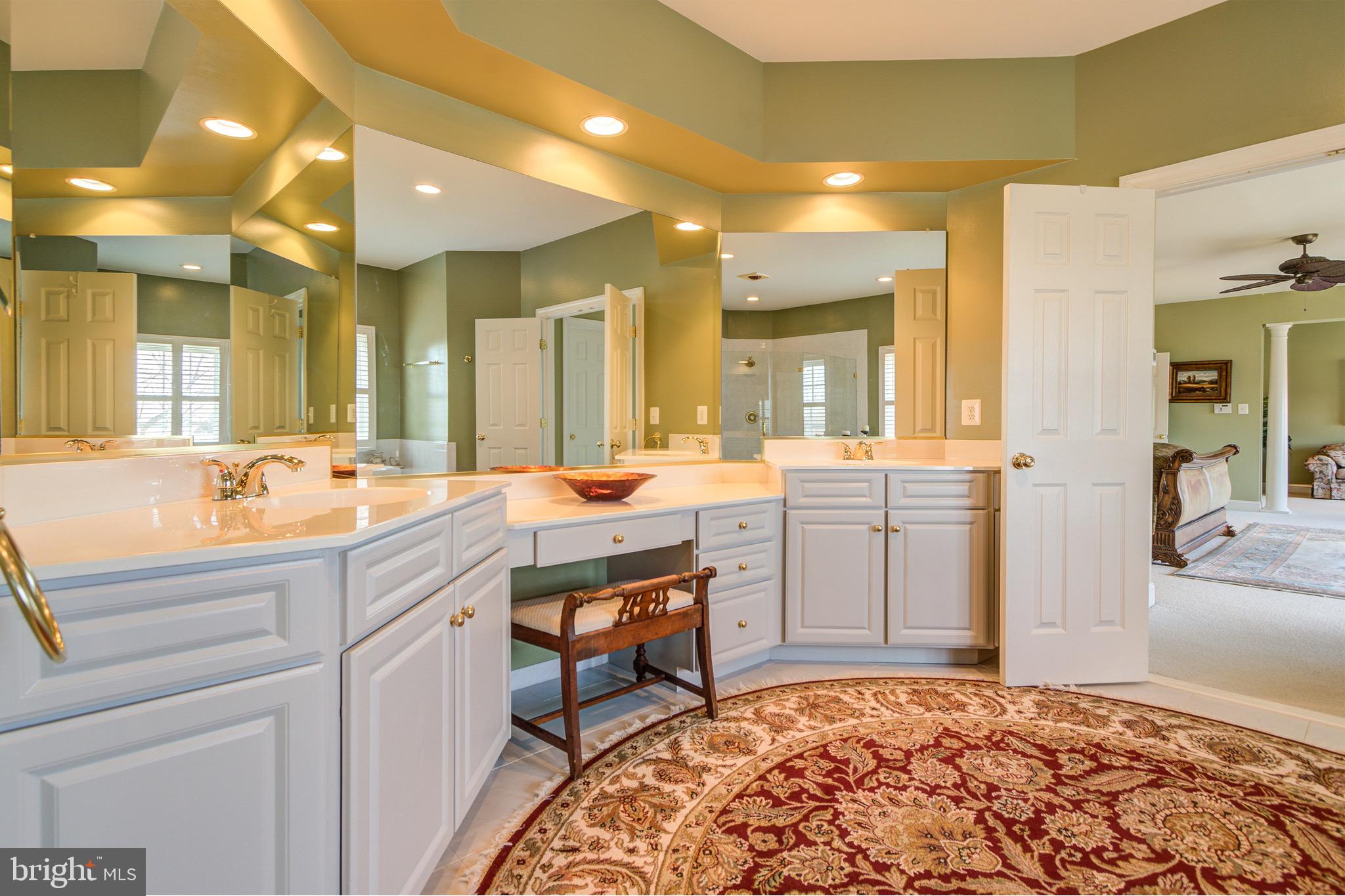 8326 Roxborough Loop Gainesville, VA 20155 - Photo 42 of 70 Master Bathroom