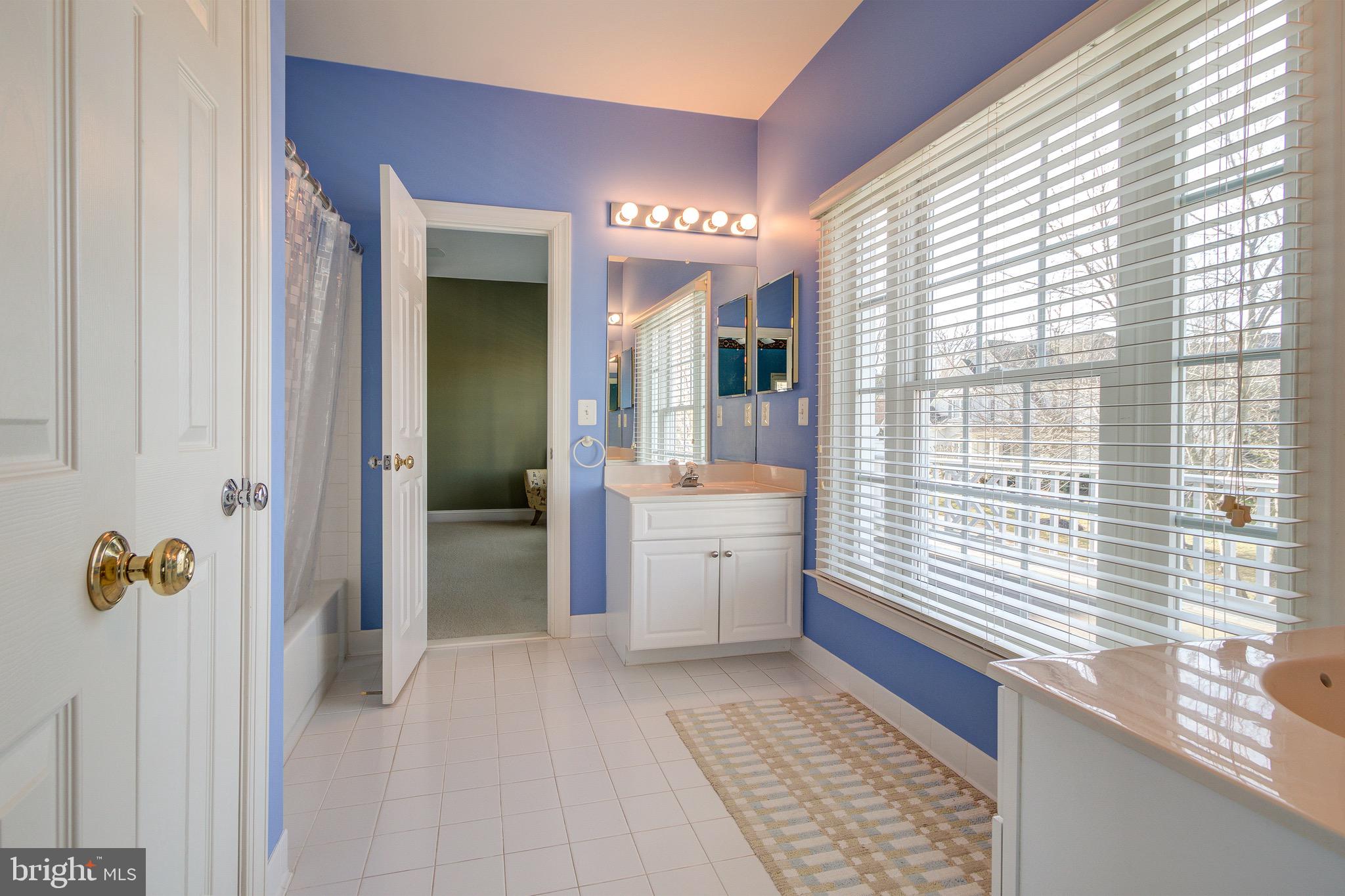 8326 Roxborough Loop Gainesville, VA 20155 - Photo 49 of 70 Jack and Jill