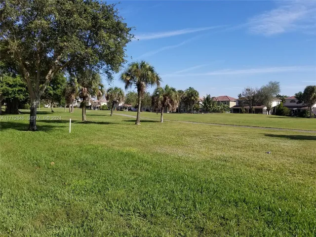 a view of a park with large trees