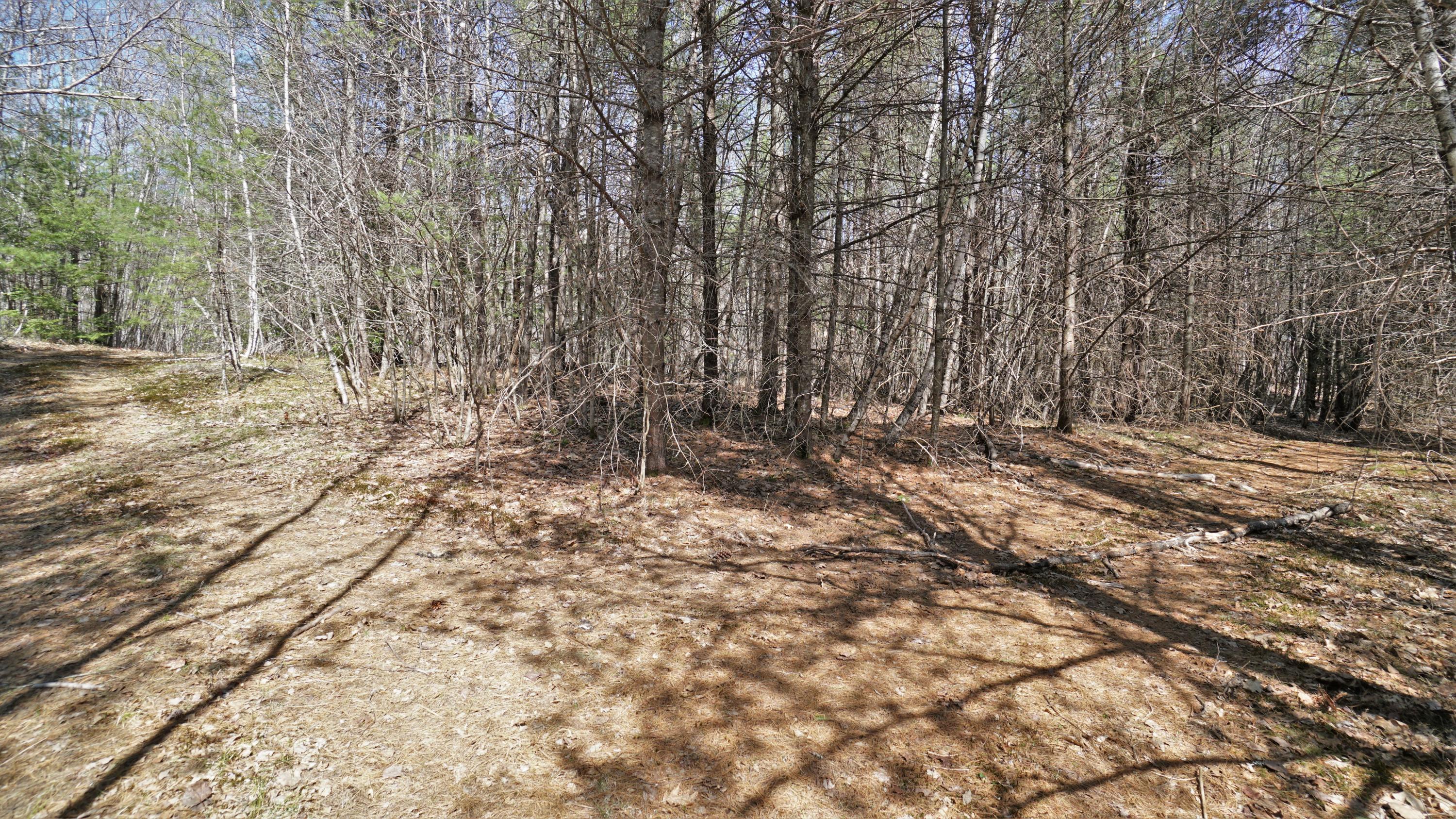 19 Edgecomb Road Acton, ME 04001 - Photo 12 of 21 DSC02788