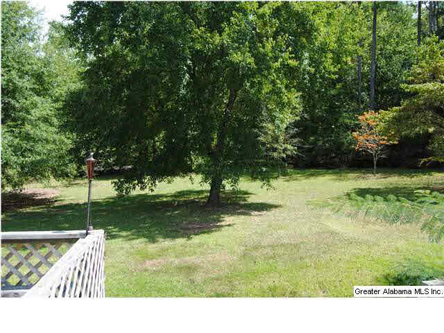 5140 Nisbet Lake Road Jacksonville, AL 36265 - Photo 24 of 26