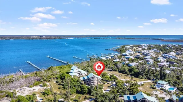 a view of a bunch of flowers in a yard