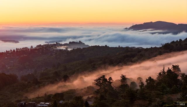 $2,700,000 | 20 Palm Way, Mill Valley, CA 94941