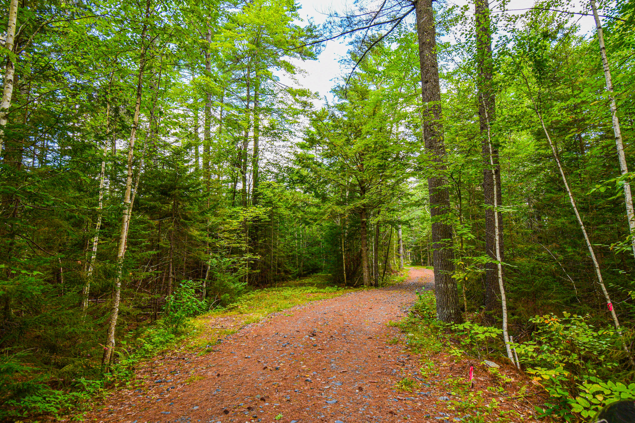 0 Old Ferry Road Hartland, ME 04943 - Photo 12 of 21 DSC_2527