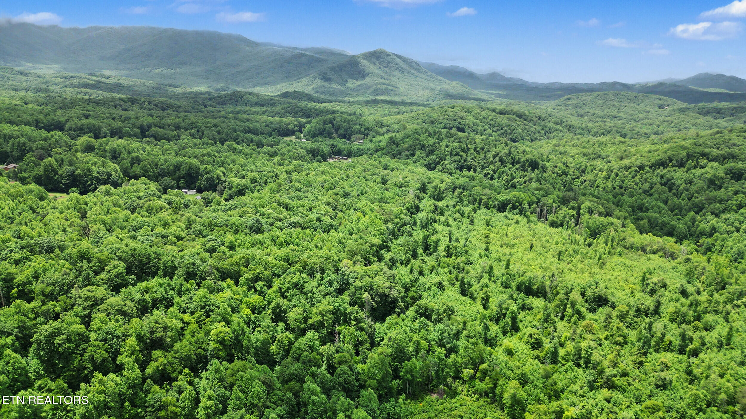 Flat Road Cosby, TN 37722 - Photo 12 of 21 5_dji_0254