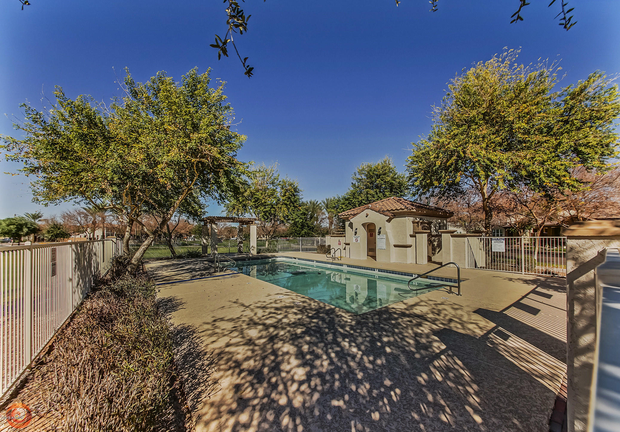 3493 East Sheffield Road Gilbert, AZ 85296 - Photo 39 of 41 204-Community_Pool