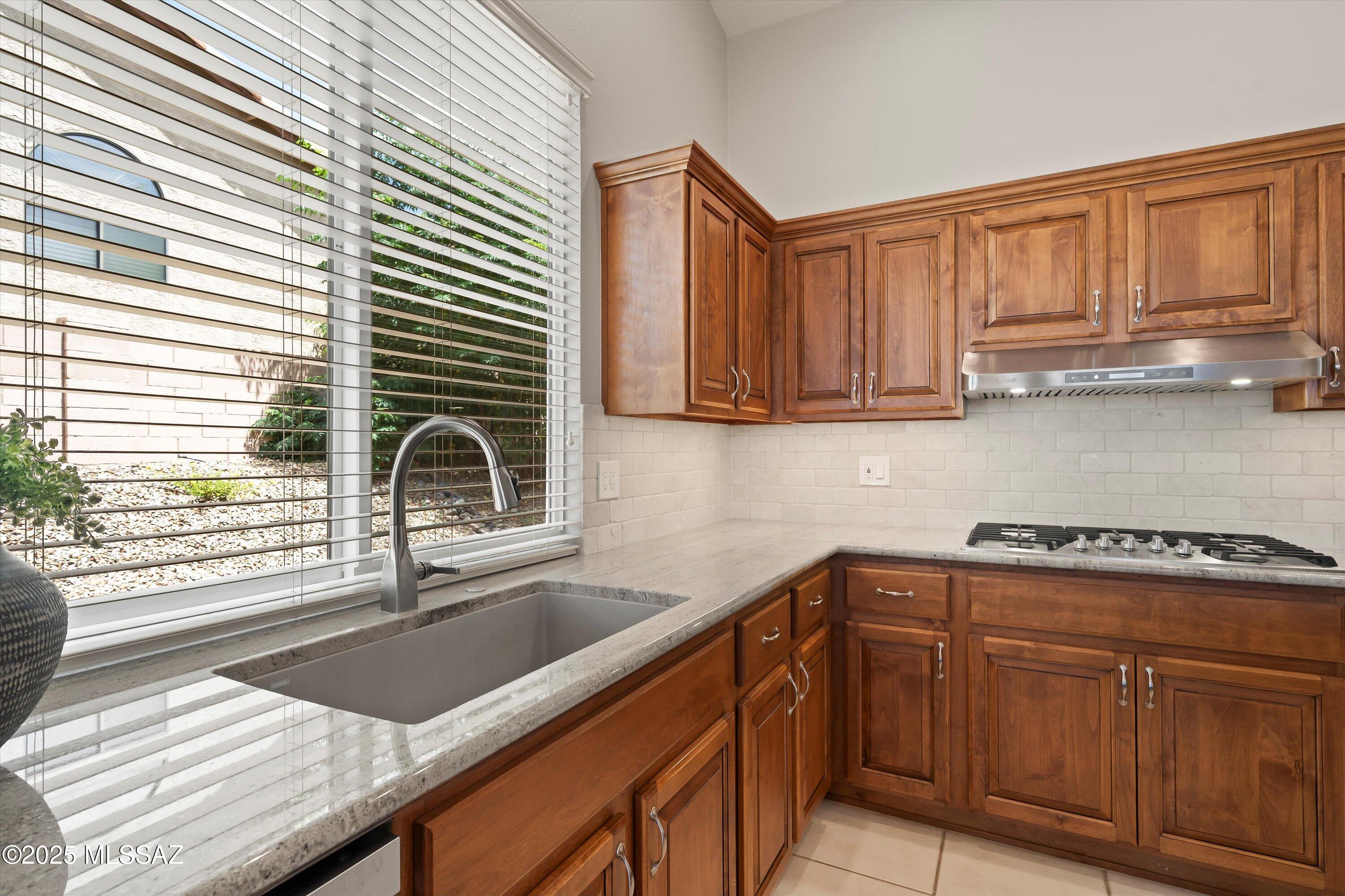 65249 East Rose Ridge Court Tucson, AZ 85739 - Photo 19 of 44 Gallery Image 19