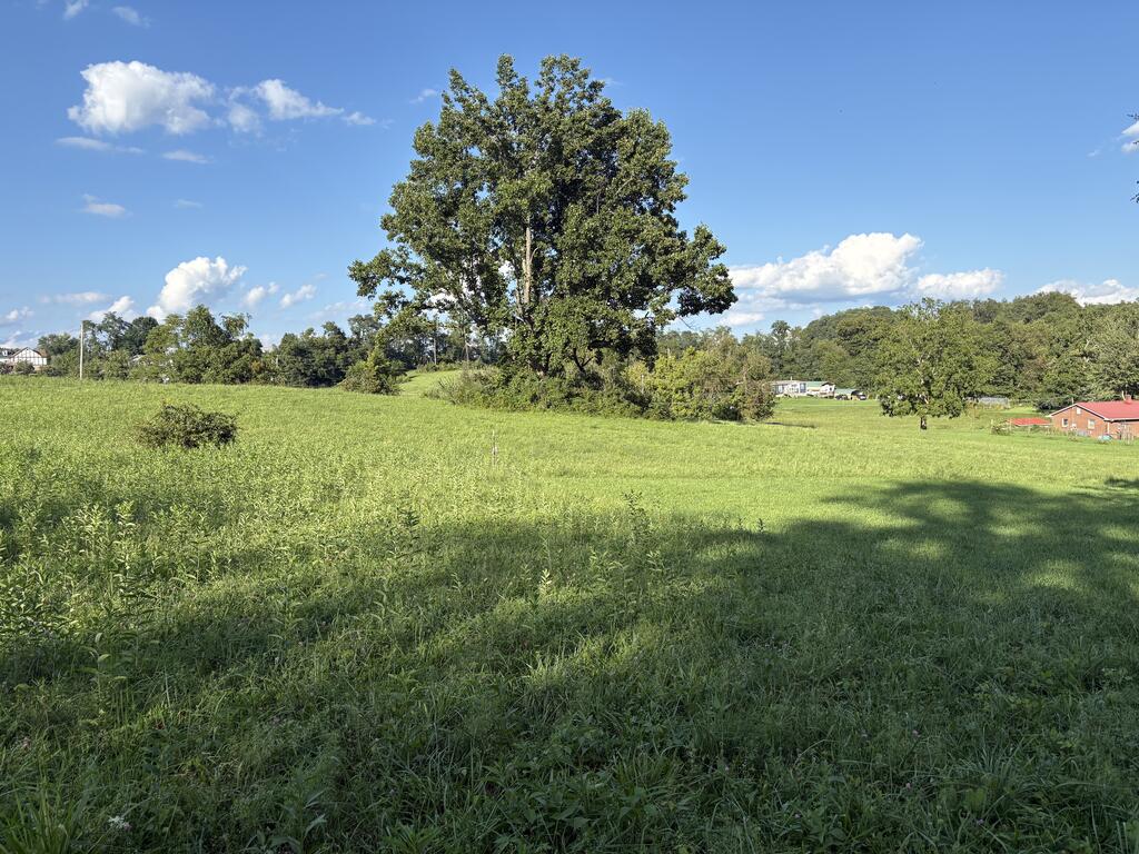 Tbd Tbd Chestnut Ridge Road, Unit 5 Chilhowie, VA 24319 - Photo 1 of 12 Gallery Image 1