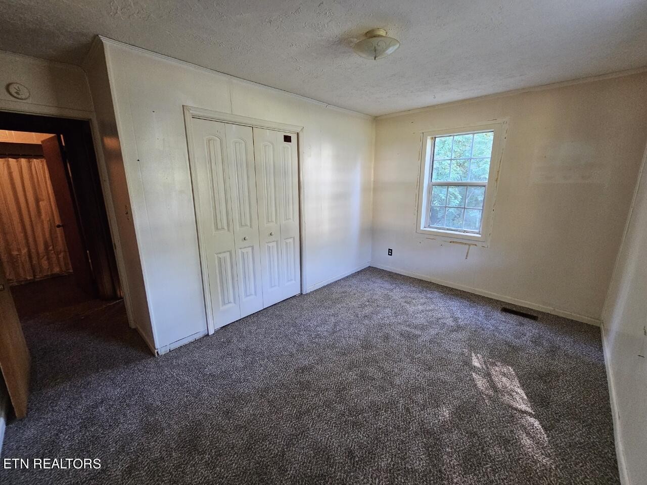 2119 Haag Store Road Talbott, TN 37877 - Photo 21 of 37