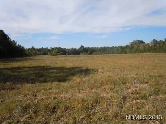 958 Lee Landing Road New Bern, NC 28560 - Photo 5 of 6 Additional Photo