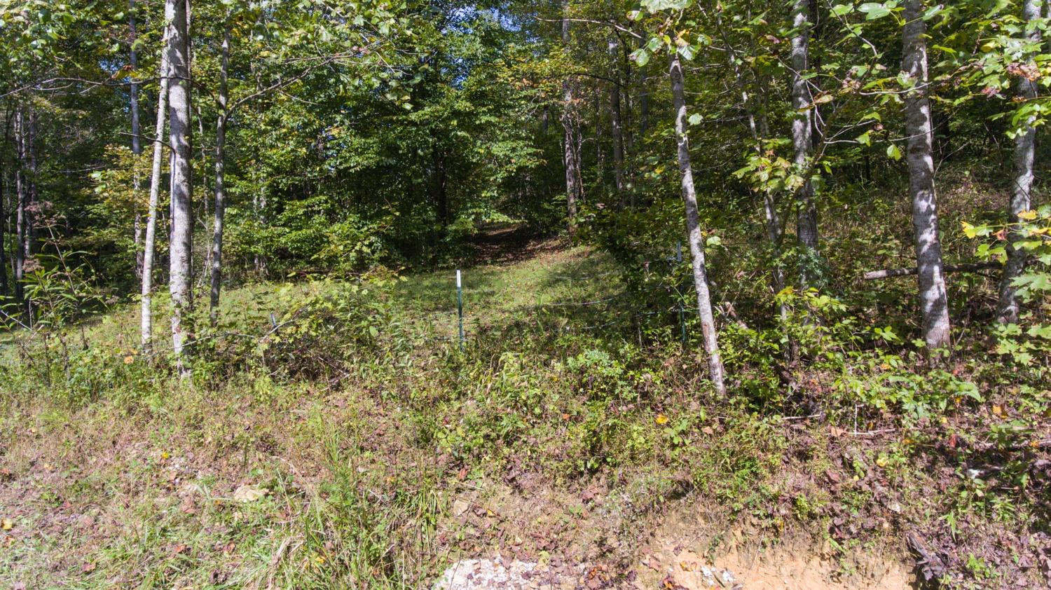 1 Barnett Valley Road Livingston, KY 40445 - Photo 15 of 27 Listing Photo
