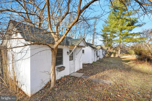 a view of backyard with large trees