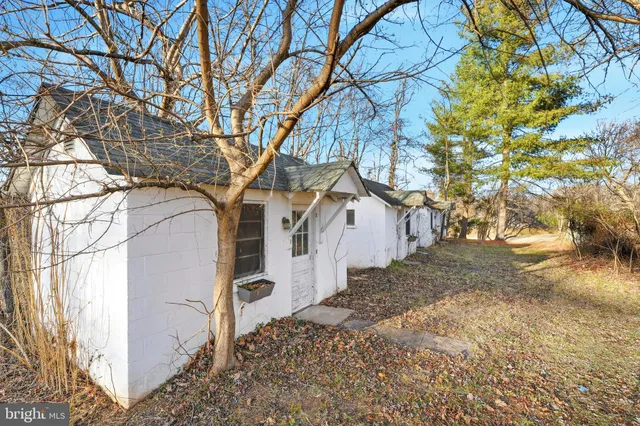 a view of backyard with large trees