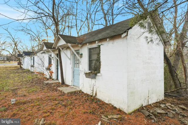 a view of yard along with trees