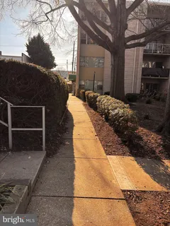 a view of a yard with cars