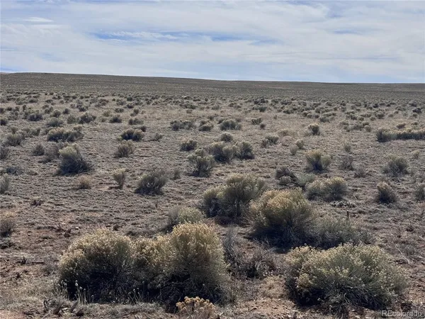a view of a dry yard