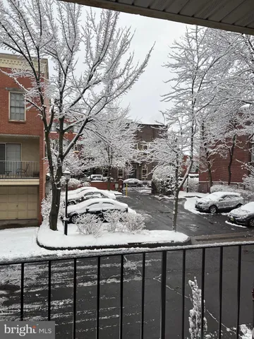 a view of a street with large trees