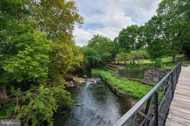 a view of a garden with plants