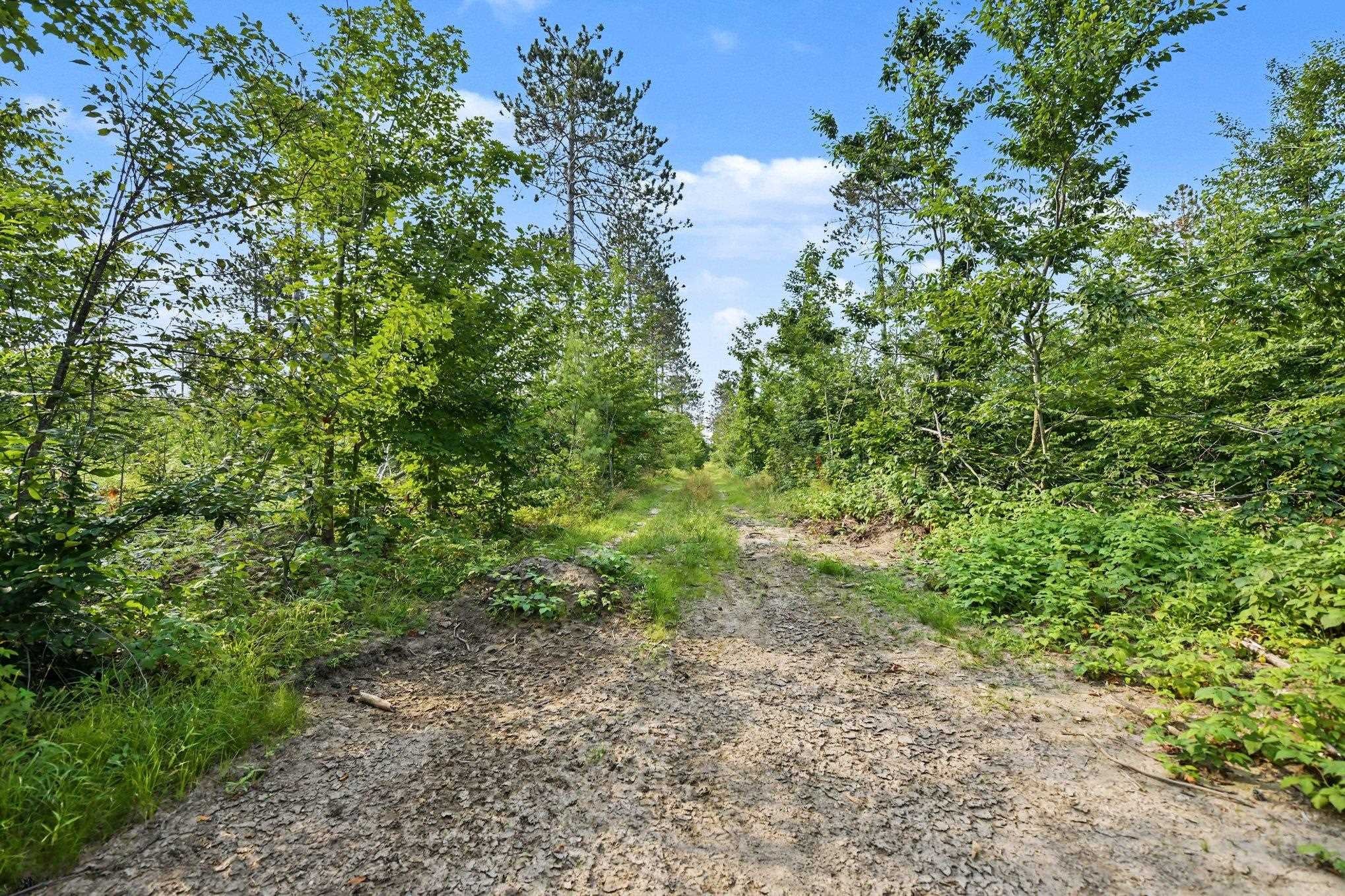 0 Parmater Road Gaylord, MI 49735 - Photo 9 of 19 Gallery Image 9