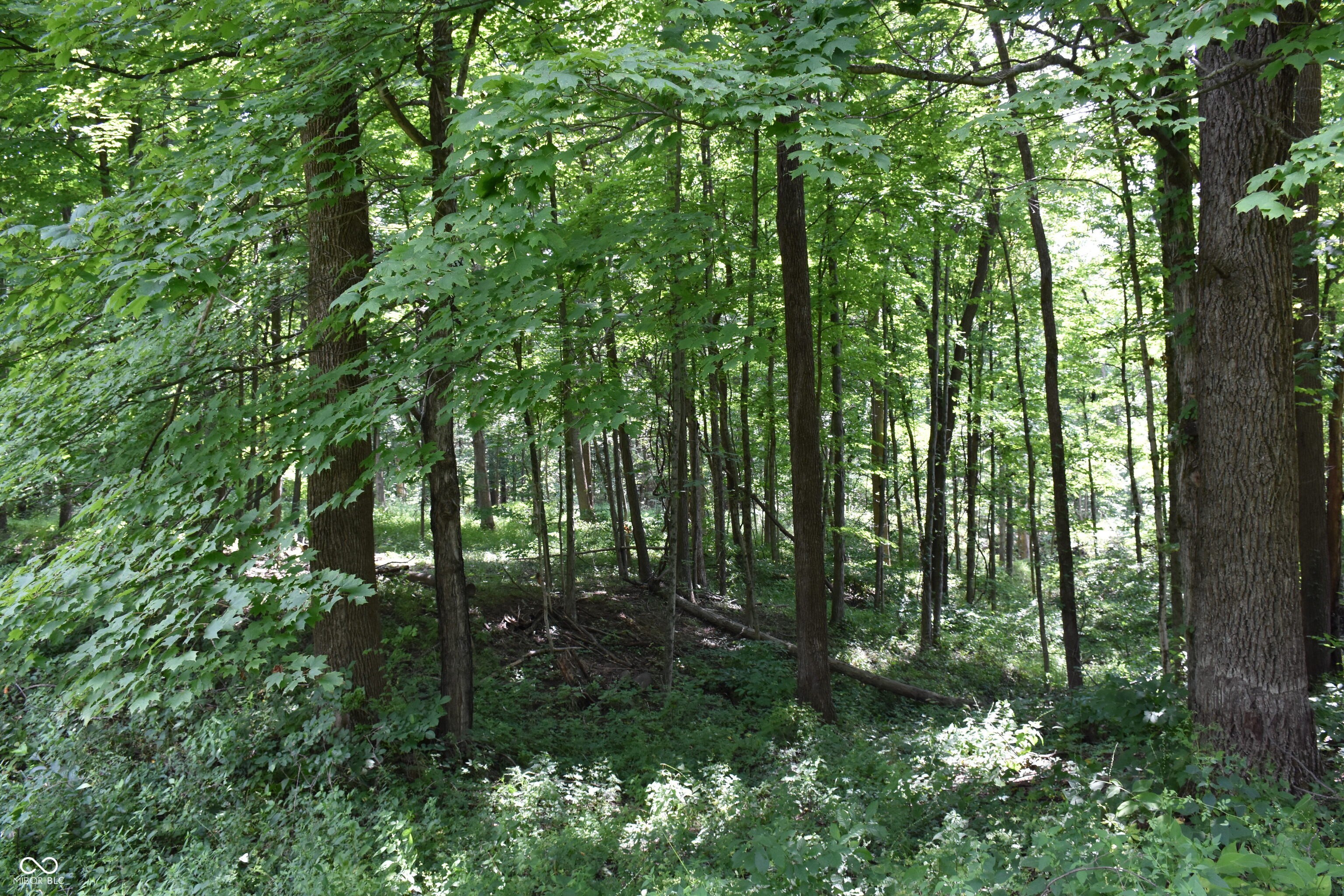 1715 Orchard Hills Road Martinsville, IN 46151 - Photo 14 of 15