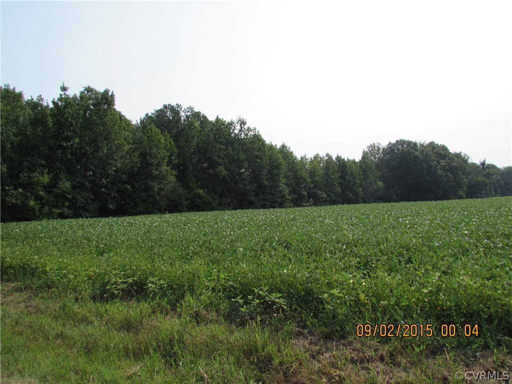 23705 Andrews Road Jarratt, VA 23867 - Photo 1 of 6 Gallery Image 1