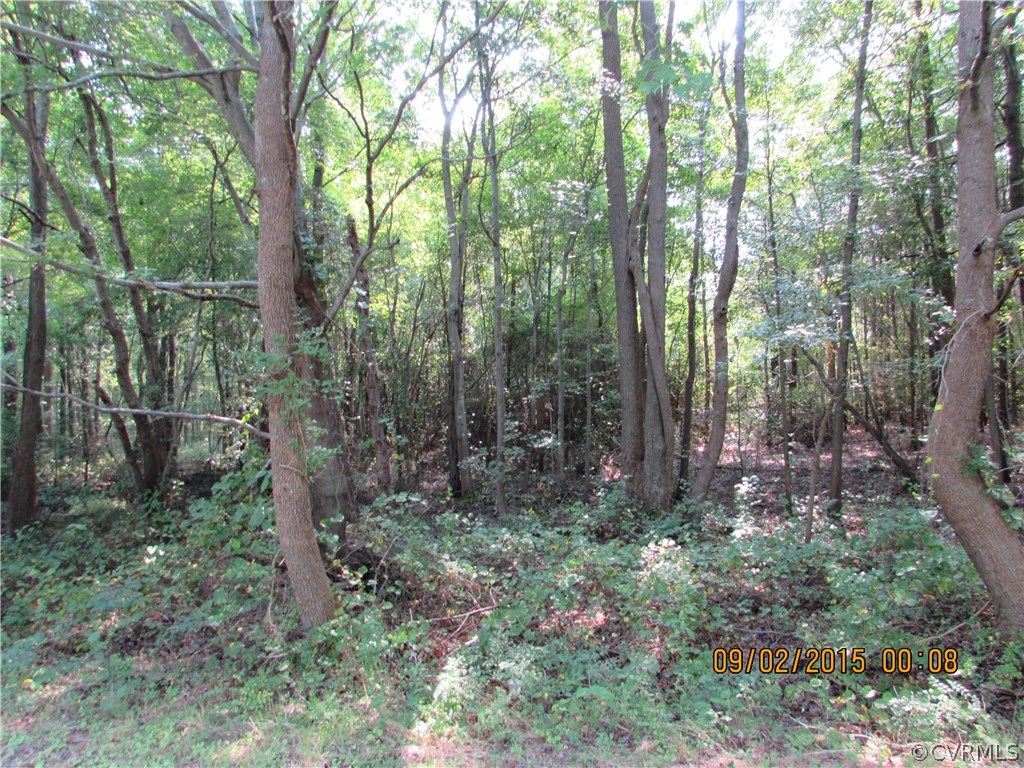 23705 Andrews Road Jarratt, VA 23867 - Photo 2 of 6 Gallery Image 2
