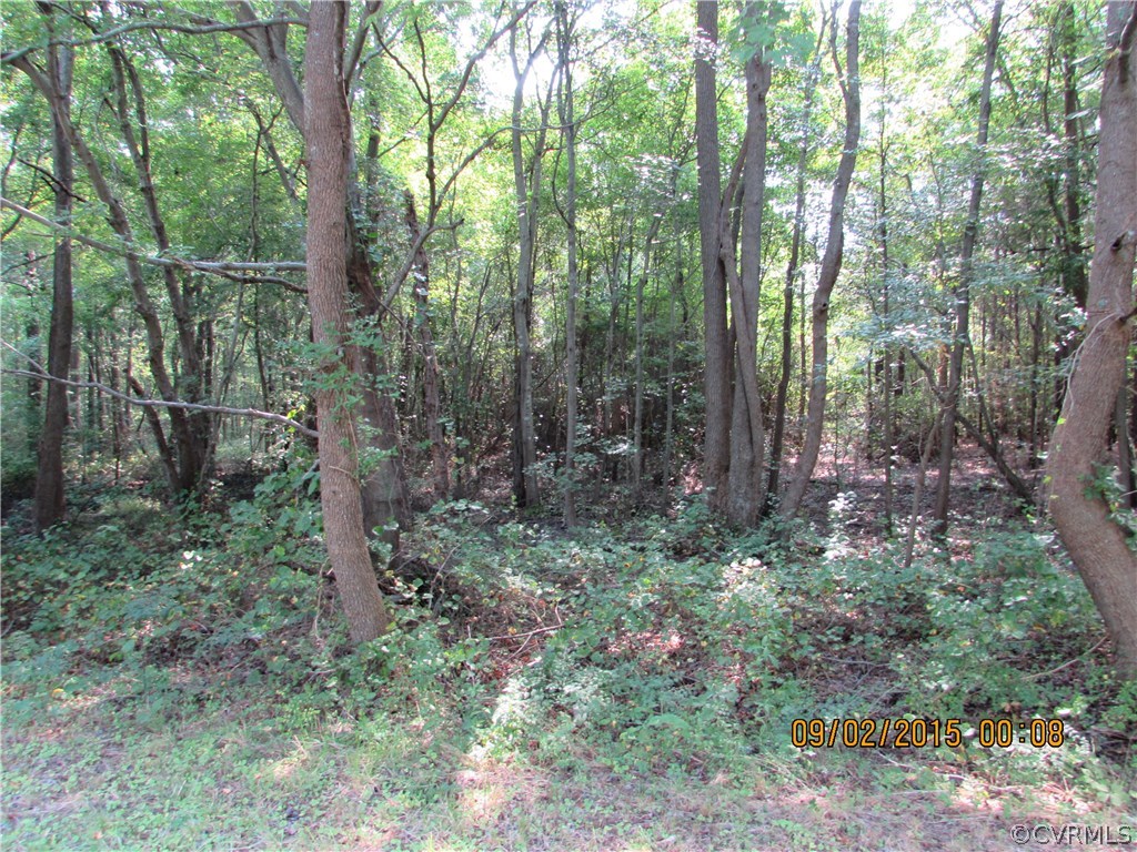 23705 Andrews Road Jarratt, VA 23867 - Photo 3 of 6 Gallery Image 3