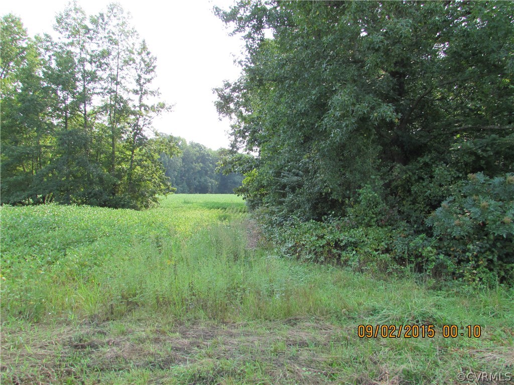 23705 Andrews Road Jarratt, VA 23867 - Photo 4 of 6 Gallery Image 4