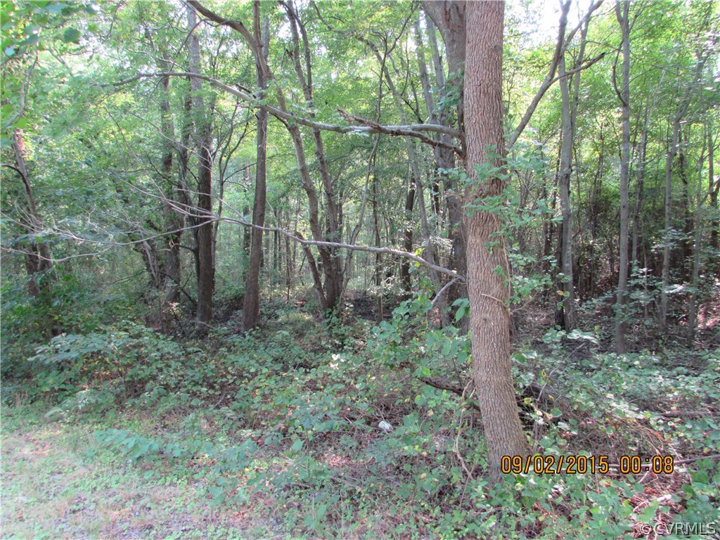 23705 Andrews Road Jarratt, VA 23867 - Photo 5 of 6 Gallery Image 5