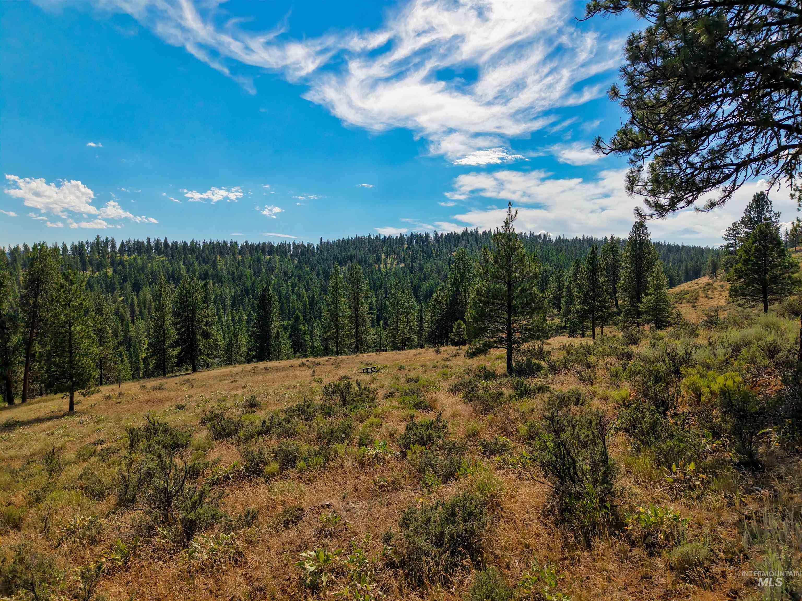 Tbd Tbd Eagle Feather Road New Meadows, ID 83654 - Photo 17 of 21 Gallery Image 17