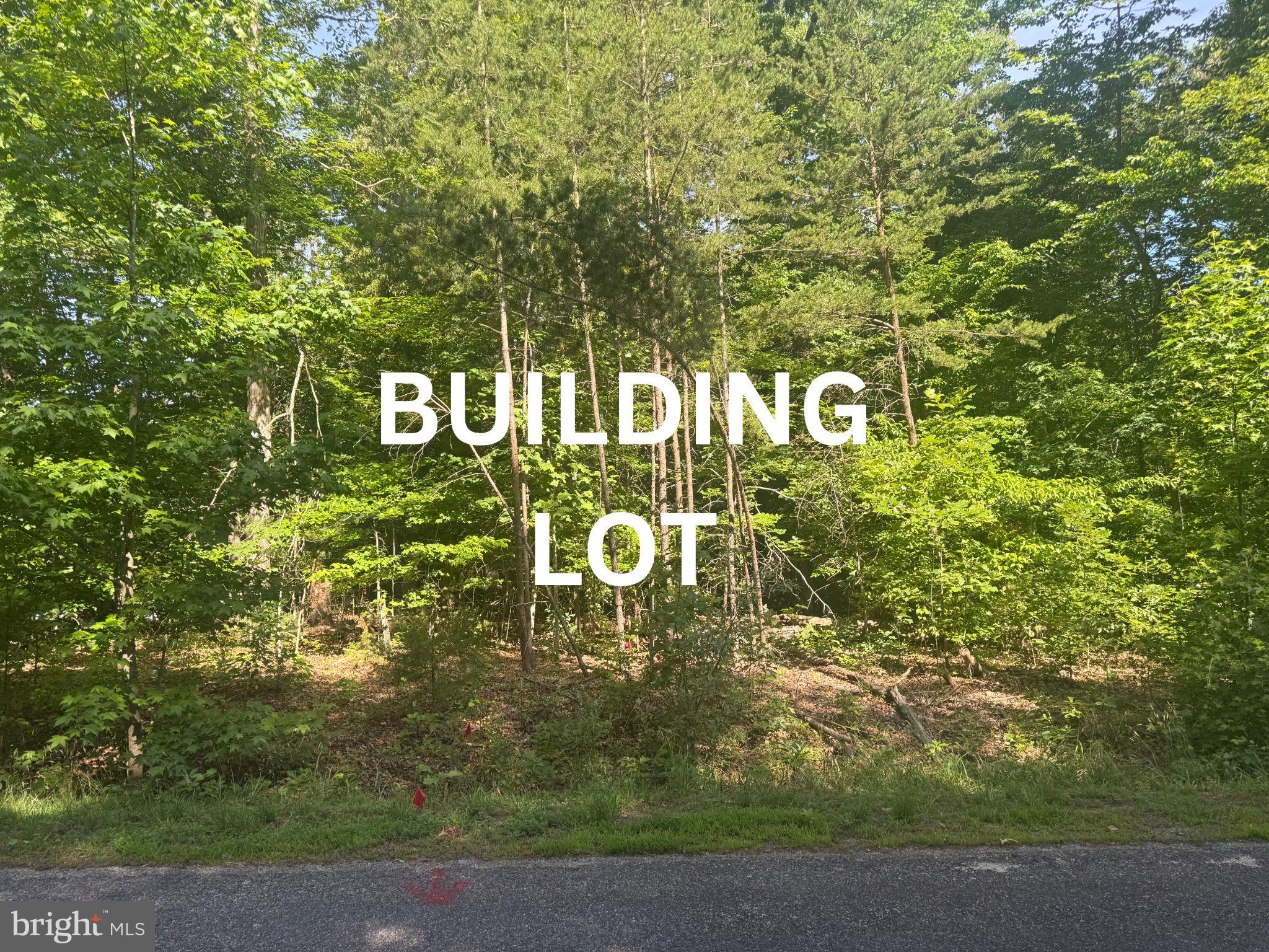 6200 Bills Road Mineral, VA 23117 - Photo 1 of 1