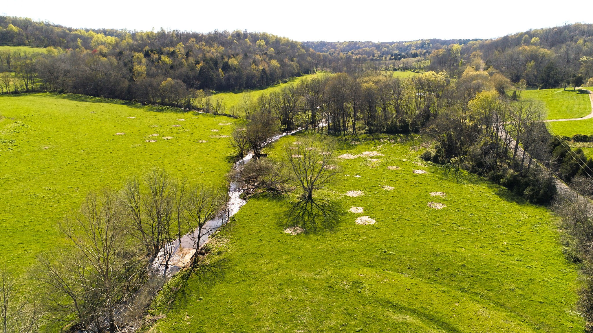 0 Dunlap Road Duck River, TN 38454 - Photo 2 of 7 Gallery Image 2