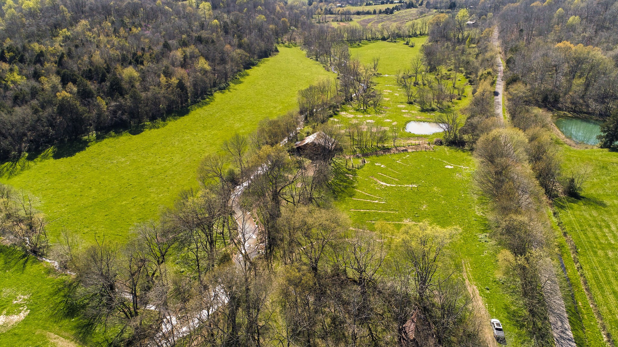 0 Dunlap Road Duck River, TN 38454 - Photo 3 of 7 Gallery Image 3