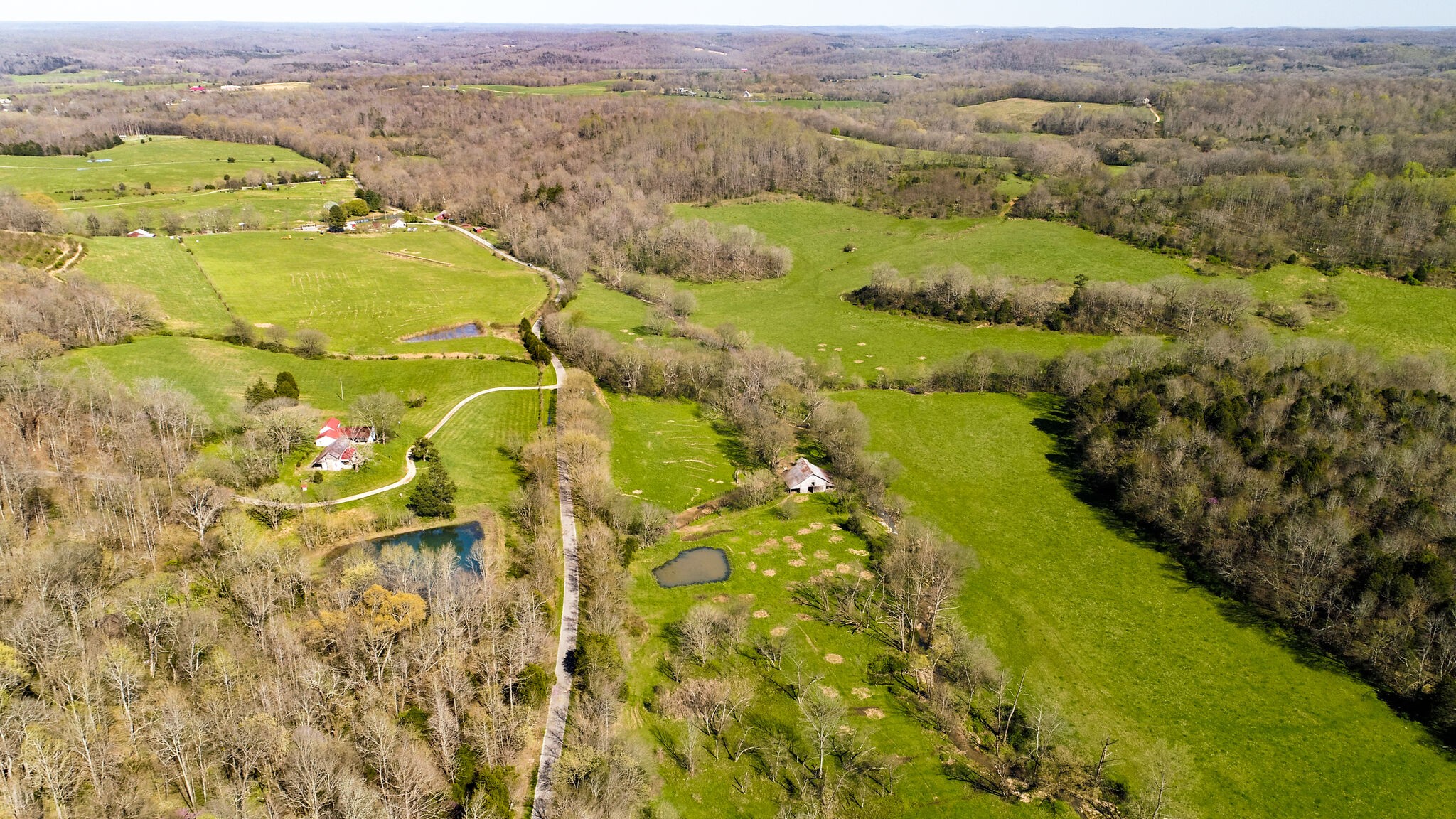 0 Dunlap Road Duck River, TN 38454 - Photo 4 of 7 Gallery Image 4