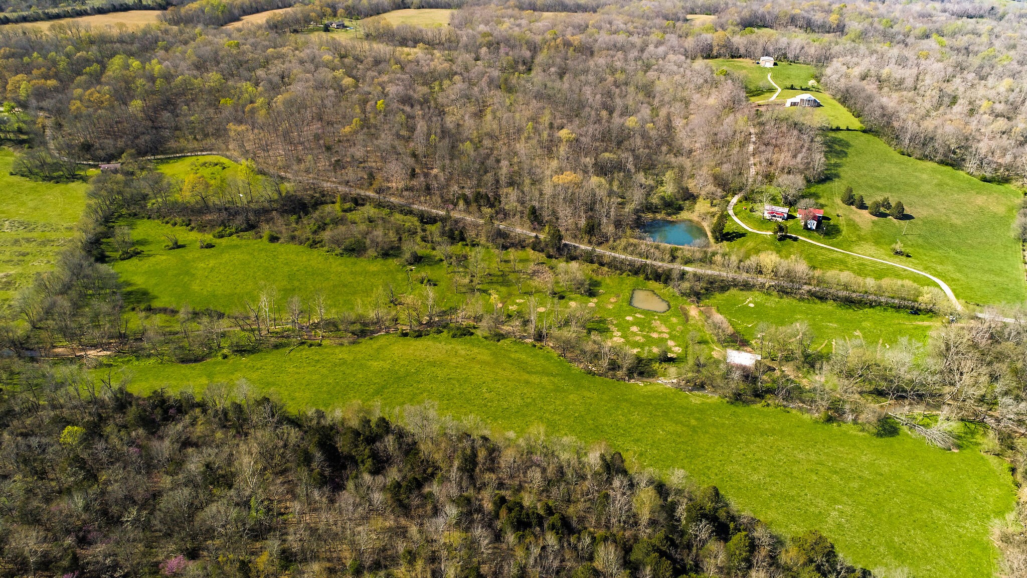 0 Dunlap Road Duck River, TN 38454 - Photo 5 of 7 Gallery Image 5