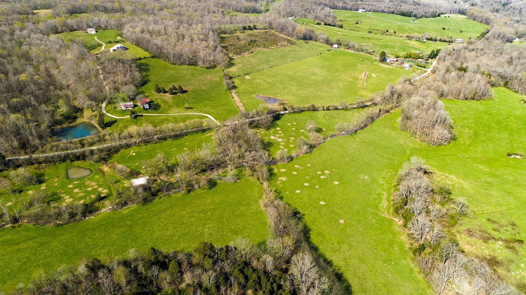 0 Dunlap Road Duck River, TN 38454 - Photo 6 of 7 Gallery Image 6