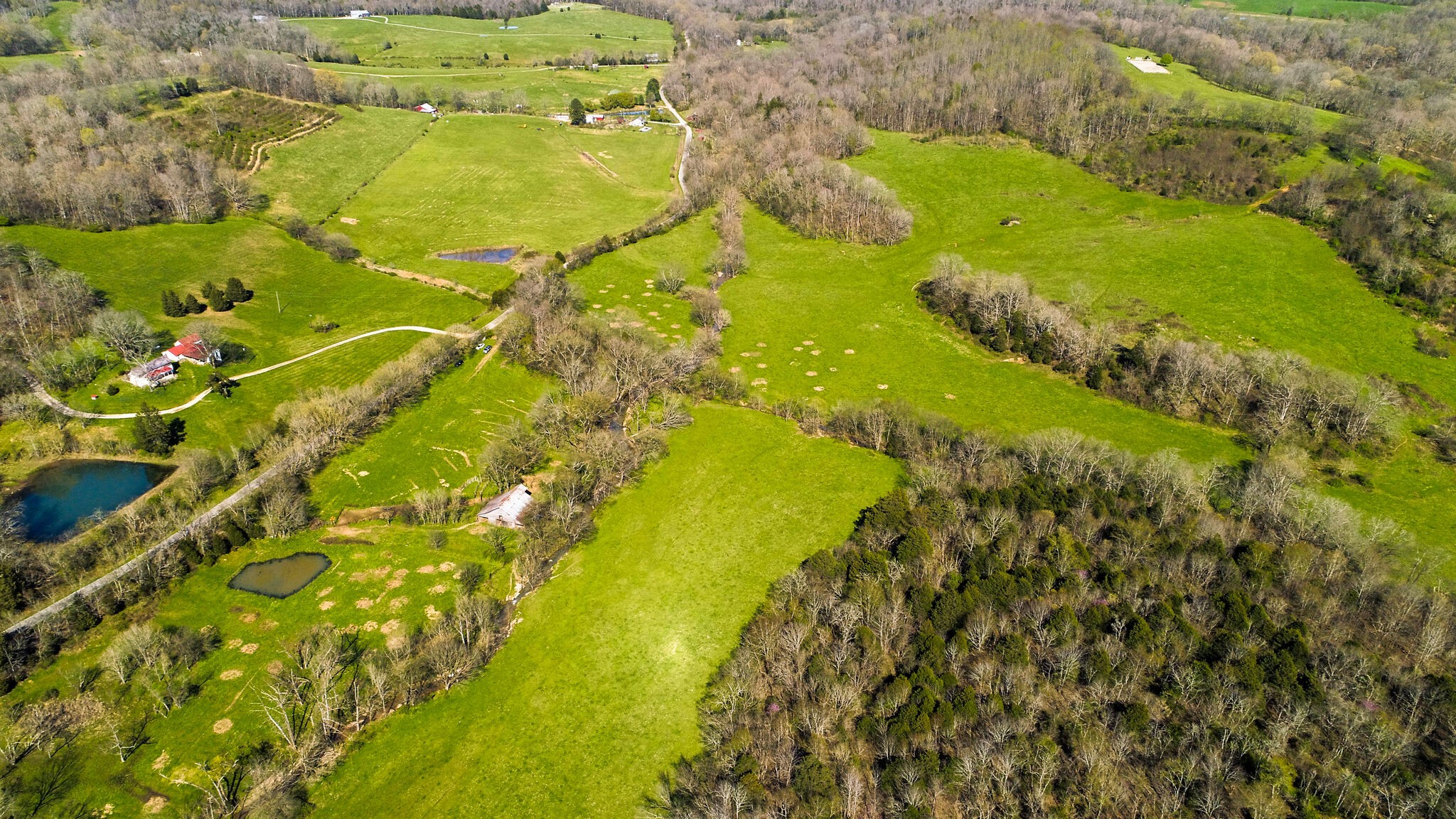 0 Dunlap Road Duck River, TN 38454 - Photo 7 of 7 Gallery Image 7