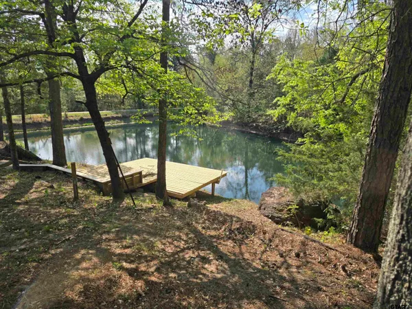 a view of a house with backyard and a tree