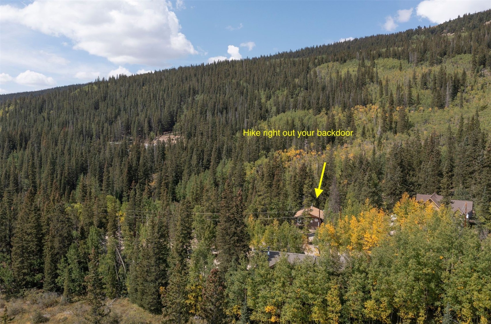 89 Mine Road Alma, CO 80420 - Photo 28 of 35 Gallery Image 28