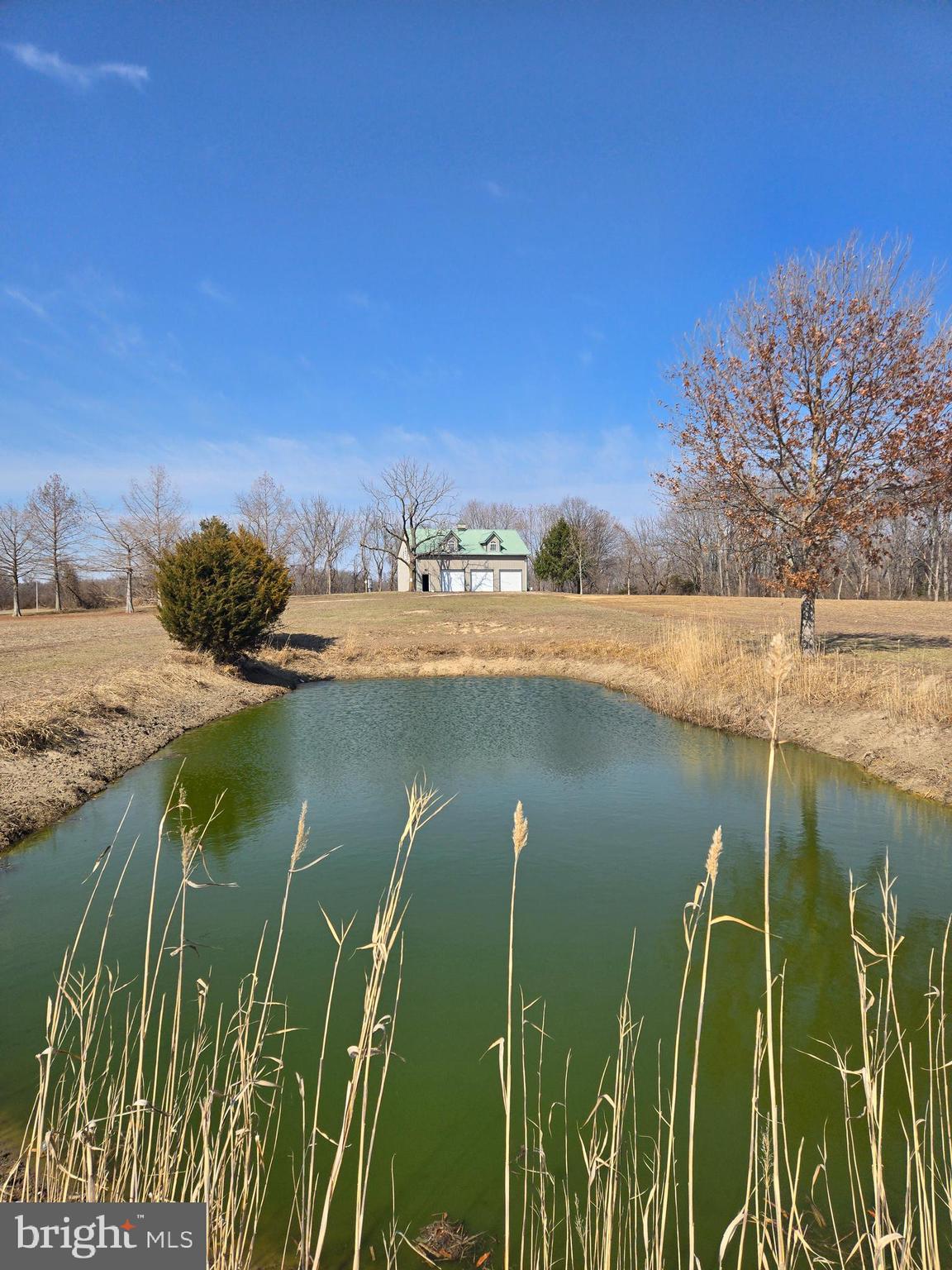 605 Gum Tree Corner Road Bridgeton, NJ 08302 - Photo 6 of 20 a view of a lake with a yard