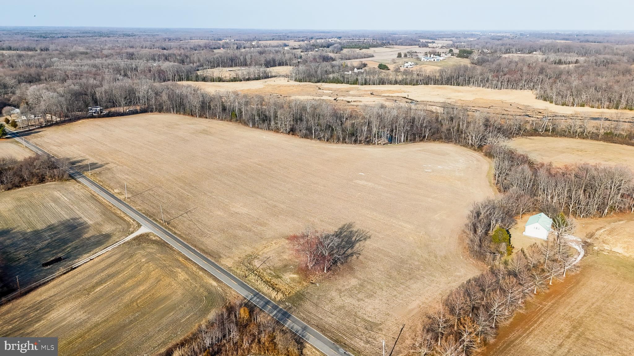 605 Gum Tree Corner Road Bridgeton, NJ 08302 - Photo 9 of 20 a view of a dry yard with trees