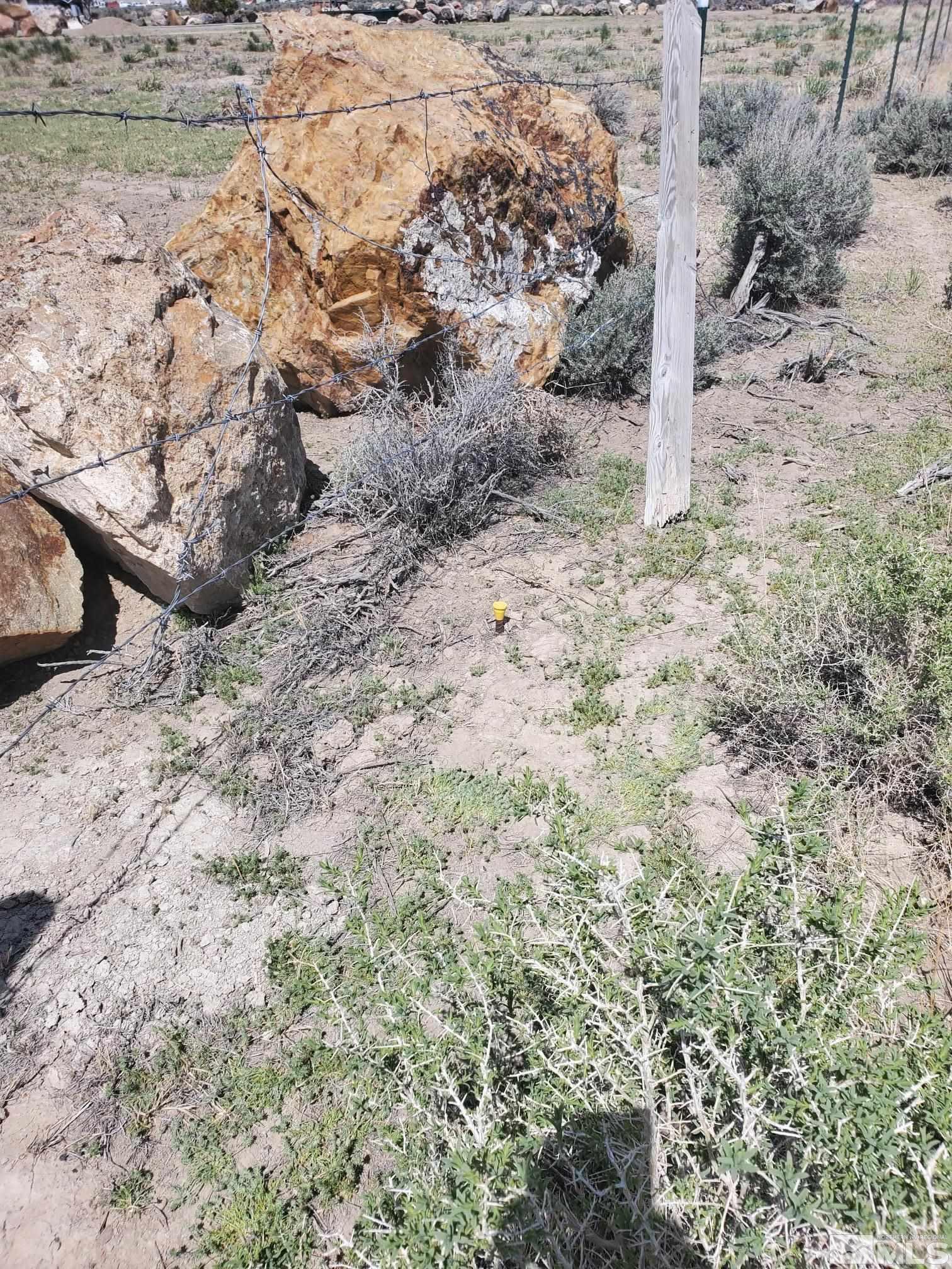 9-040-21 Muddy Road Winnemucca, NV 89445 - Photo 7 of 7 a view of a dry yard with trees