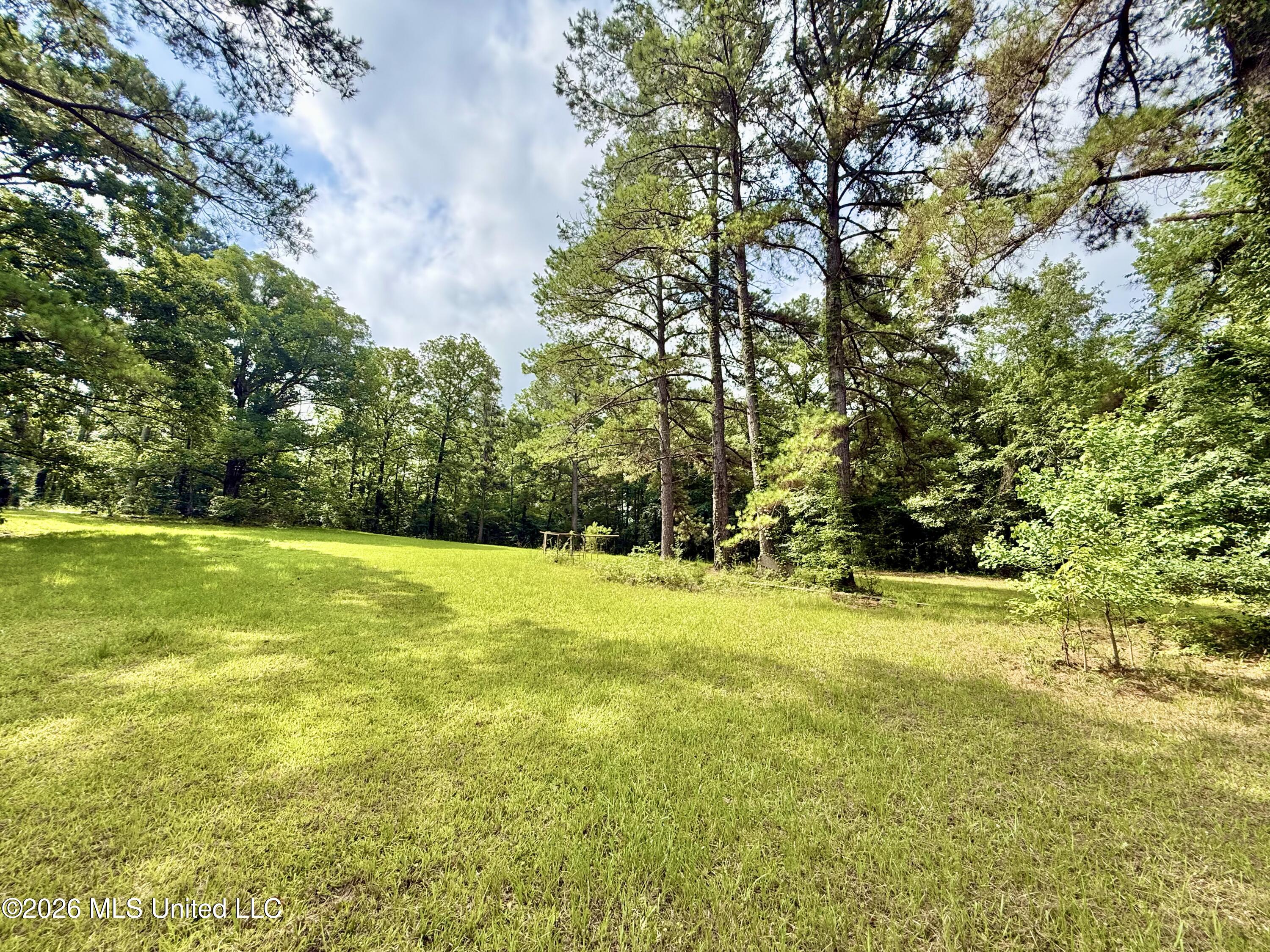 1019 Dry Grove Road Crystal Springs, MS 39059 - Photo 12 of 53 IMG_4397