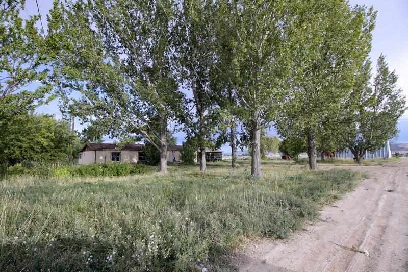 1075 Q Road Mack, CO 81525 - Photo 1 of 17 a green field with lots of trees
