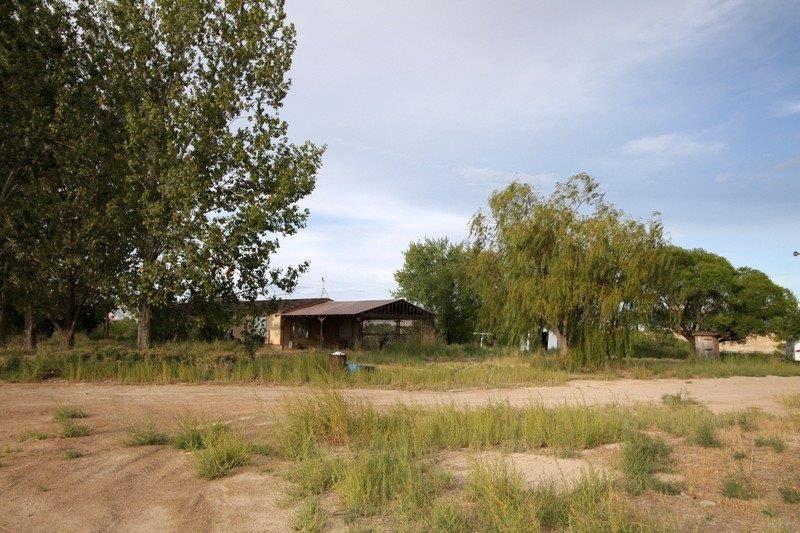1075 Q Road Mack, CO 81525 - Photo 4 of 17 a view of swimming pool with a yard and large trees