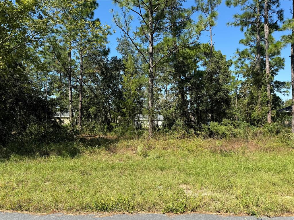 31 Southwest 133rd St Road Ocala, FL 34473 - Photo 1 of 1 Gallery Image 1