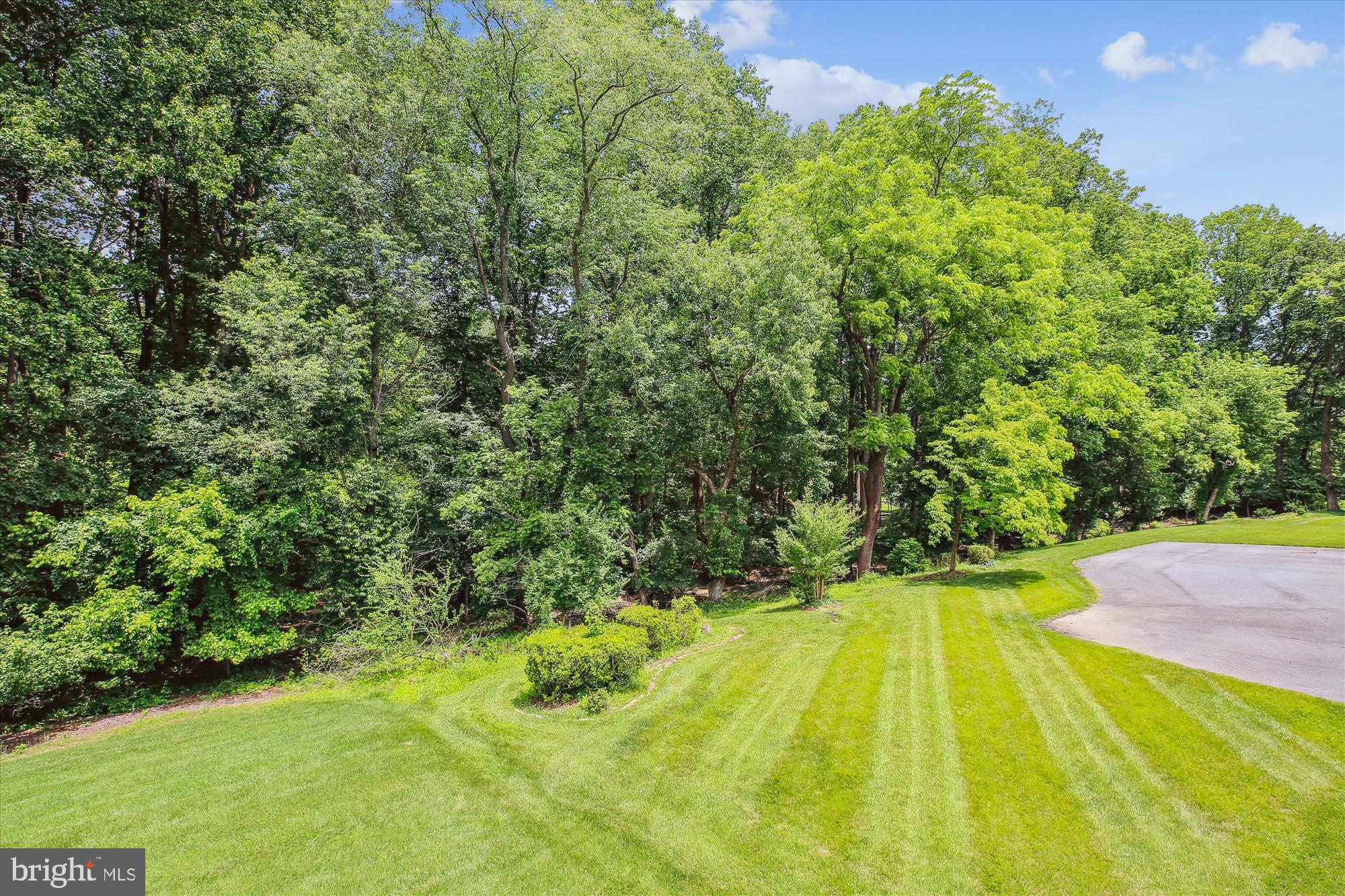 9417 Reach Road Potomac, MD 20854 - Photo 55 of 67 Back Yard