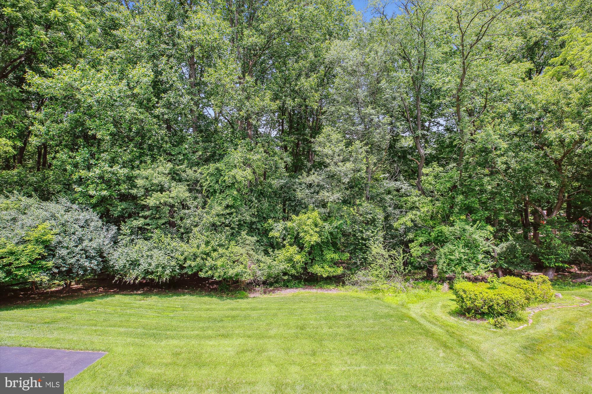 9417 Reach Road Potomac, MD 20854 - Photo 56 of 67 Back Yard